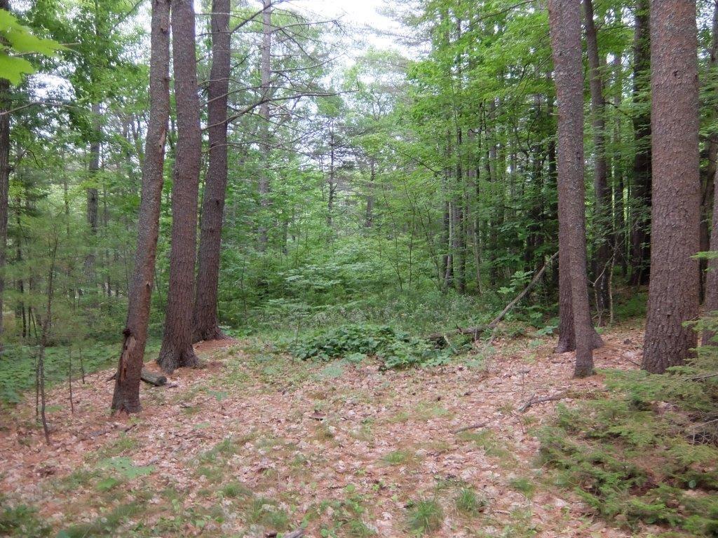 108 Shore Road Edgecomb, ME 04556 - Photo 20 of 35 Photo