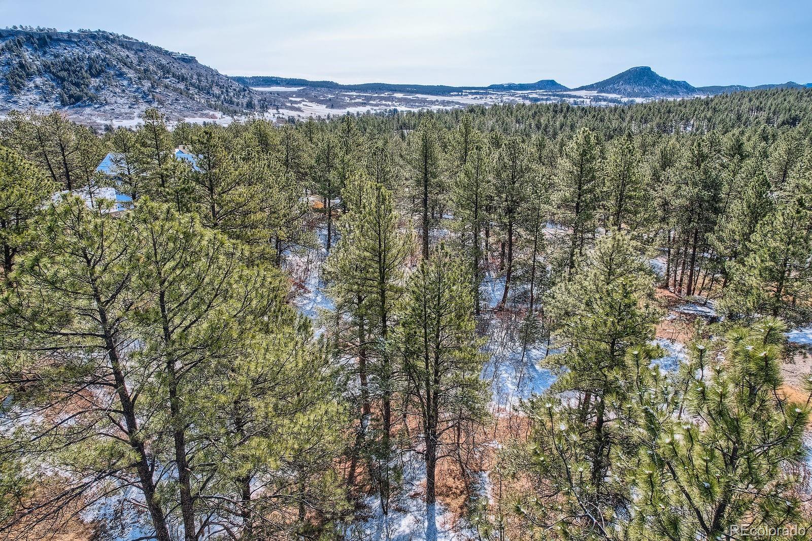 665 Copper Fox Place Larkspur, CO 80118 - Photo 12 of 23