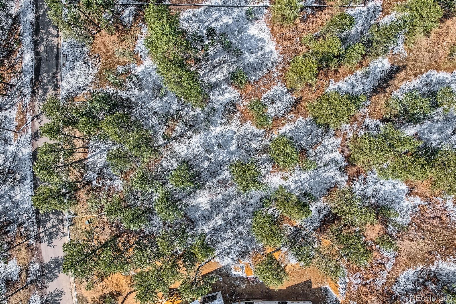 665 Copper Fox Place Larkspur, CO 80118 - Photo 15 of 23