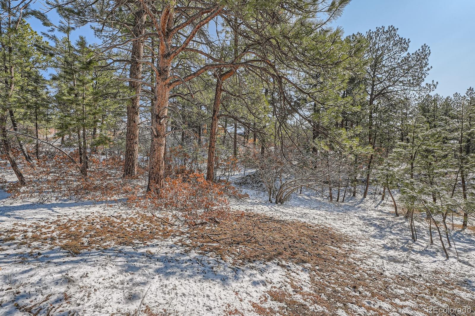 665 Copper Fox Place Larkspur, CO 80118 - Photo 16 of 23