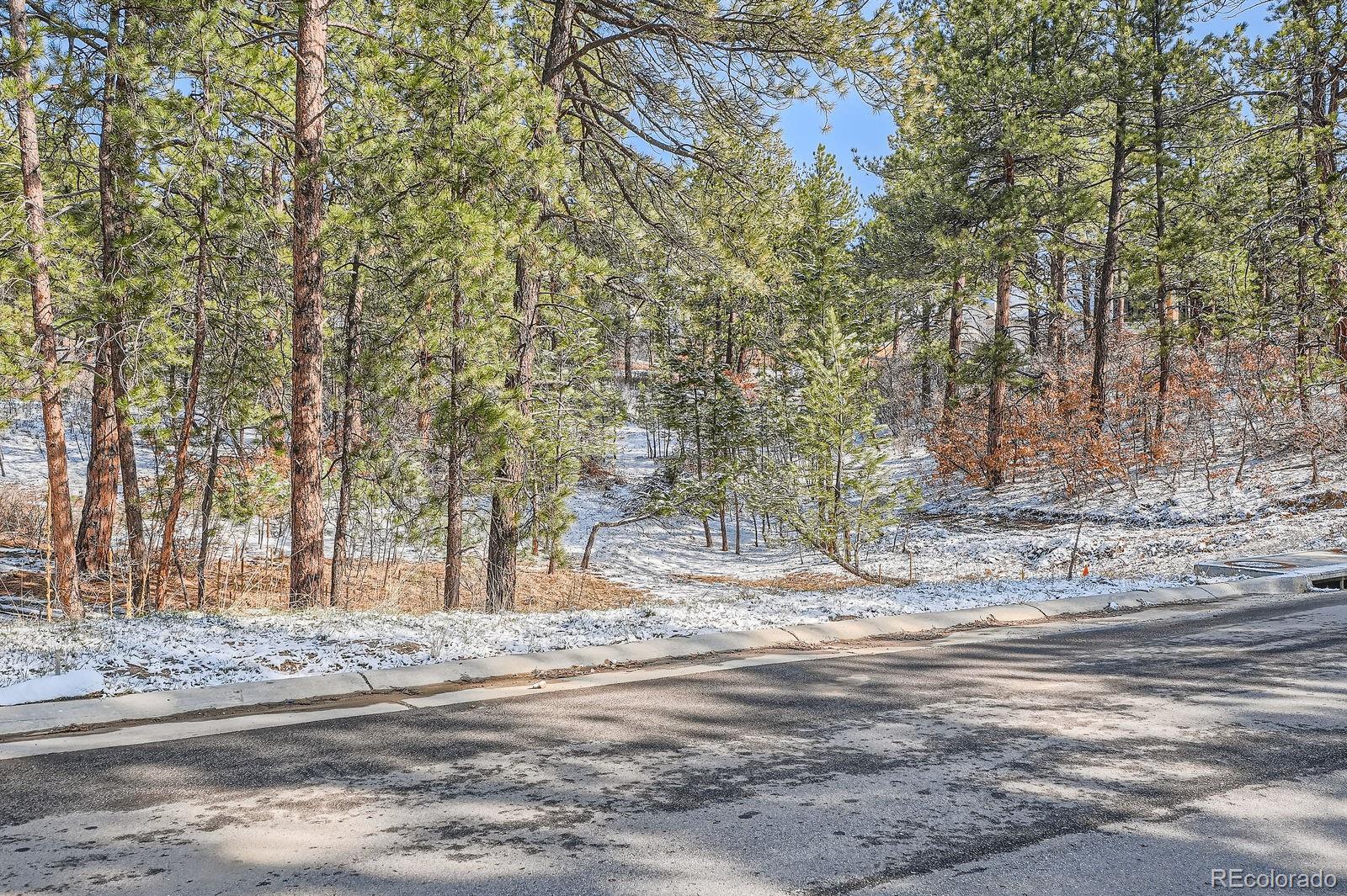 665 Copper Fox Place Larkspur, CO 80118 - Photo 17 of 23