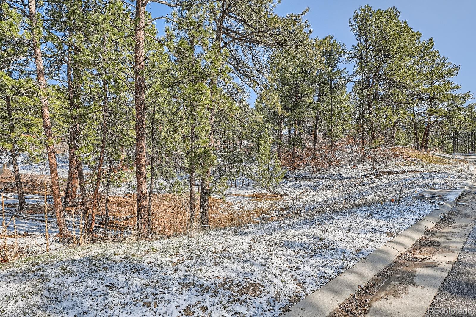 665 Copper Fox Place Larkspur, CO 80118 - Photo 18 of 23