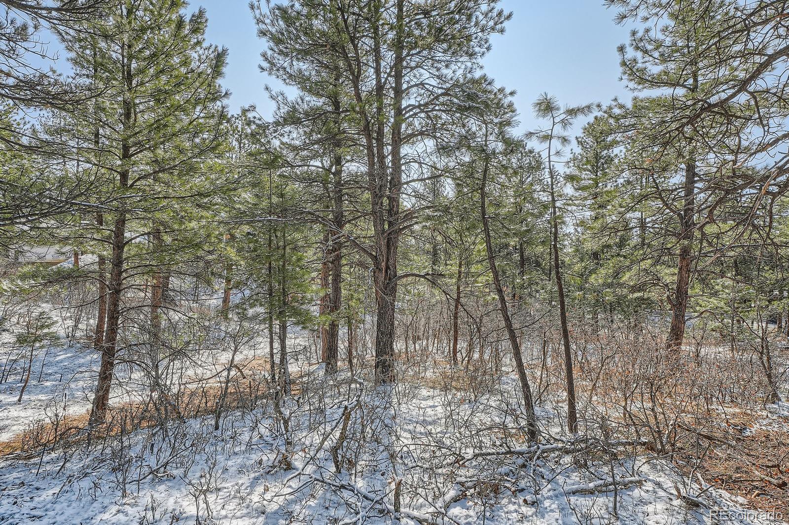 665 Copper Fox Place Larkspur, CO 80118 - Photo 20 of 23
