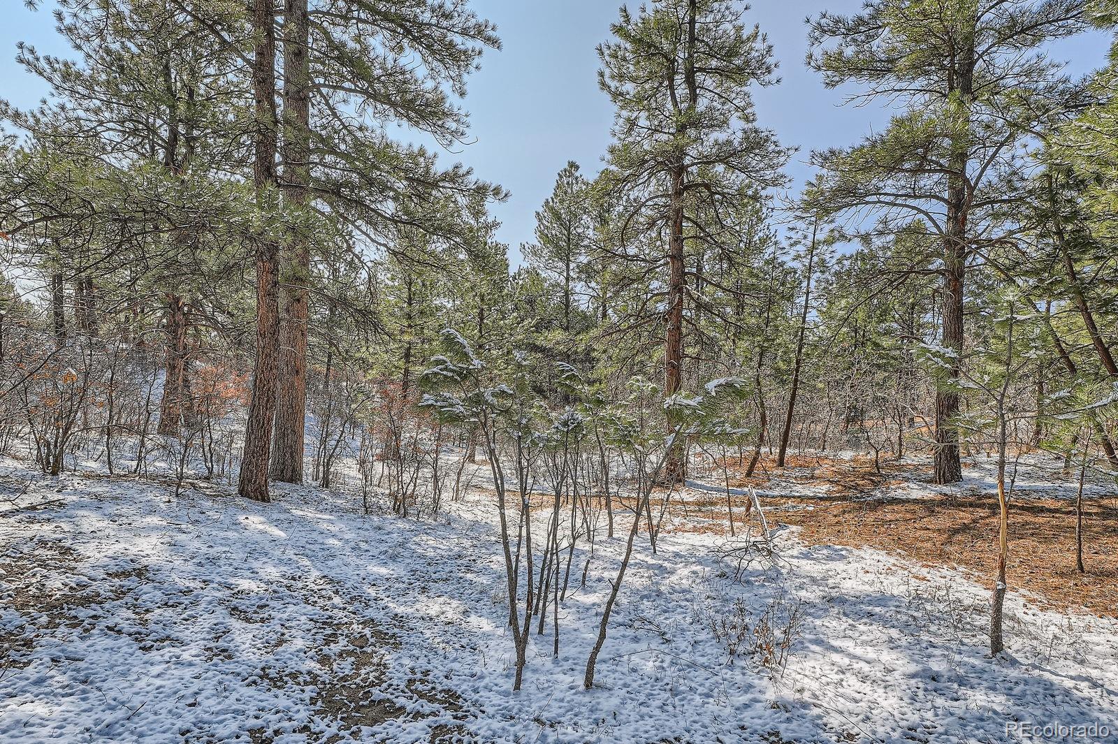 665 Copper Fox Place Larkspur, CO 80118 - Photo 21 of 23