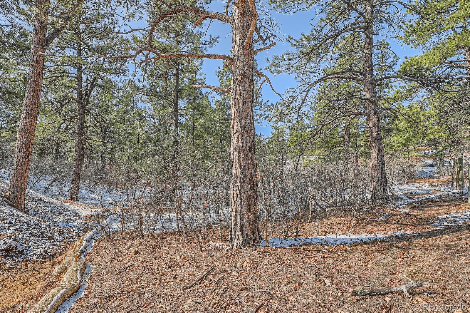 665 Copper Fox Place Larkspur, CO 80118 - Photo 22 of 23