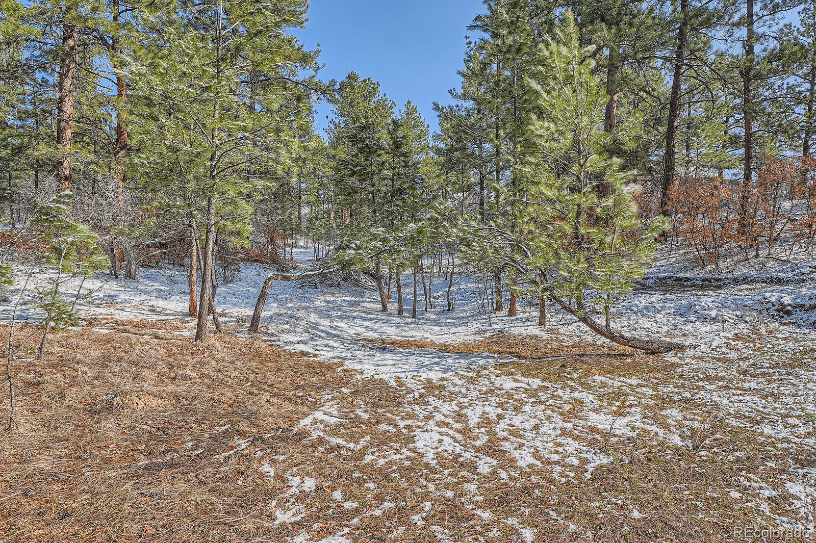 665 Copper Fox Place Larkspur, CO 80118 - Photo 23 of 23