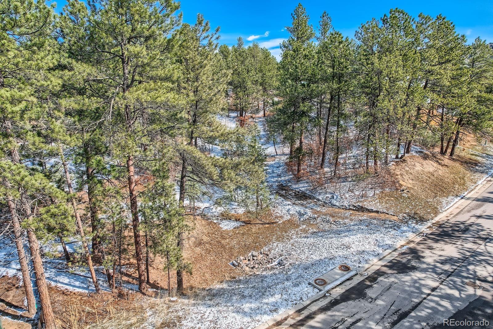 665 Copper Fox Place Larkspur, CO 80118 - Photo 3 of 23