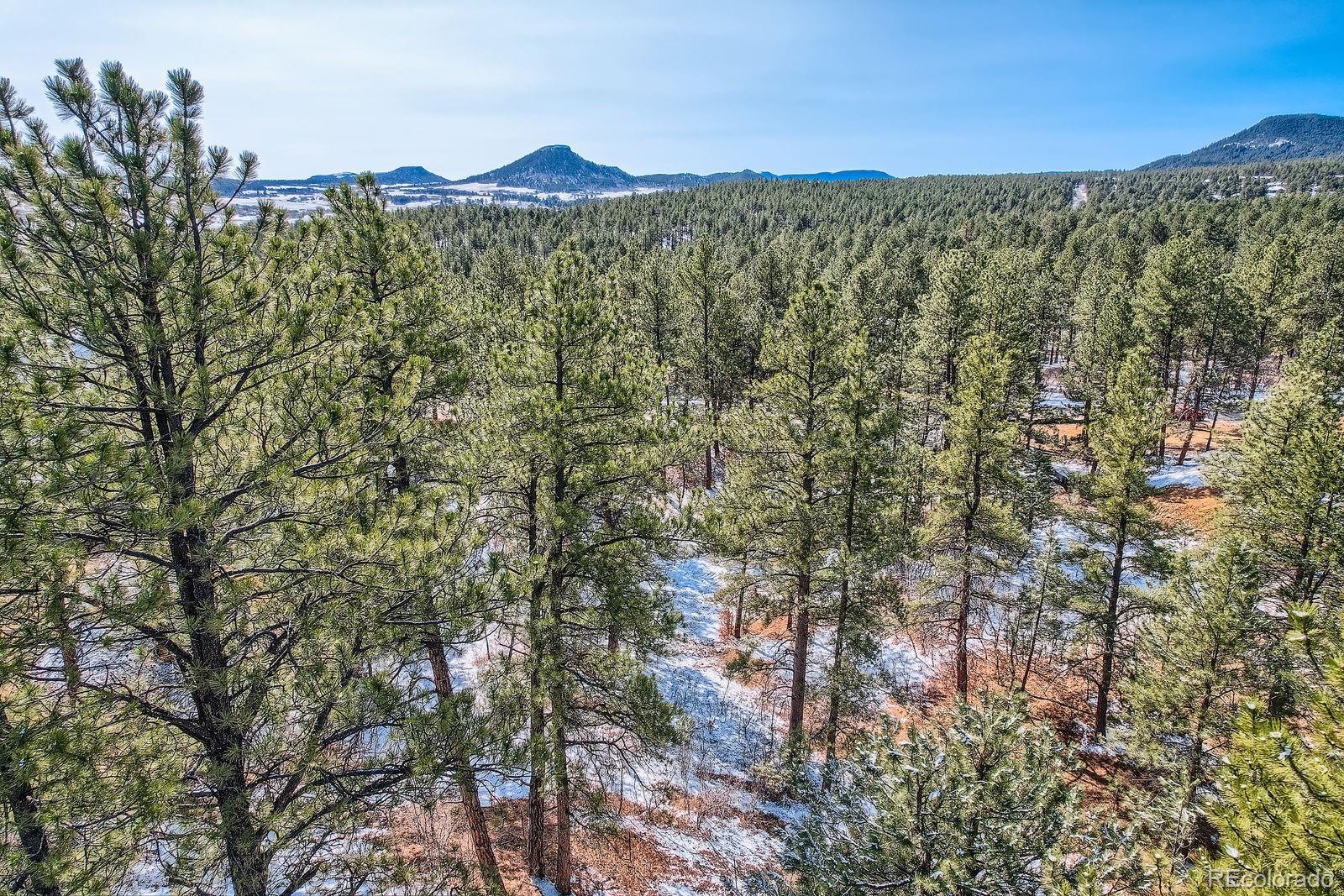 665 Copper Fox Place Larkspur, CO 80118 - Photo 4 of 23