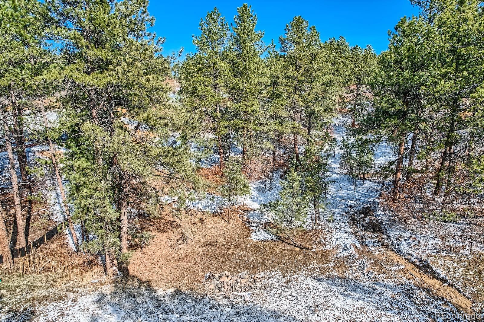 665 Copper Fox Place Larkspur, CO 80118 - Photo 5 of 23