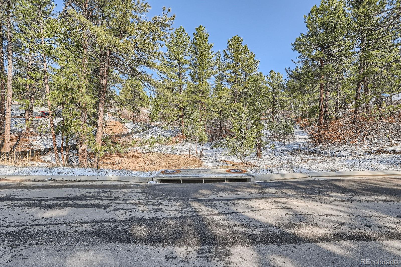 665 Copper Fox Place Larkspur, CO 80118 - Photo 6 of 23