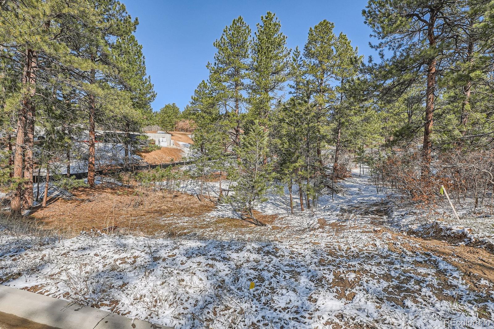 665 Copper Fox Place Larkspur, CO 80118 - Photo 7 of 23