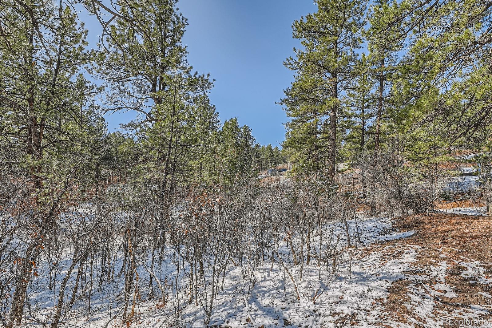 665 Copper Fox Place Larkspur, CO 80118 - Photo 8 of 23