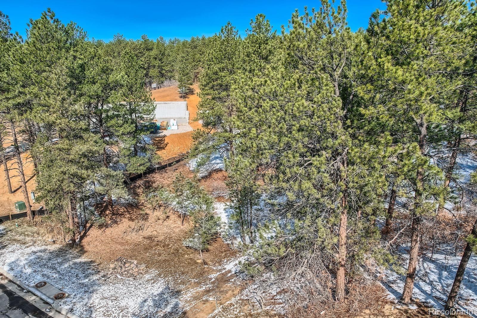 665 Copper Fox Place Larkspur, CO 80118 - Photo 9 of 23