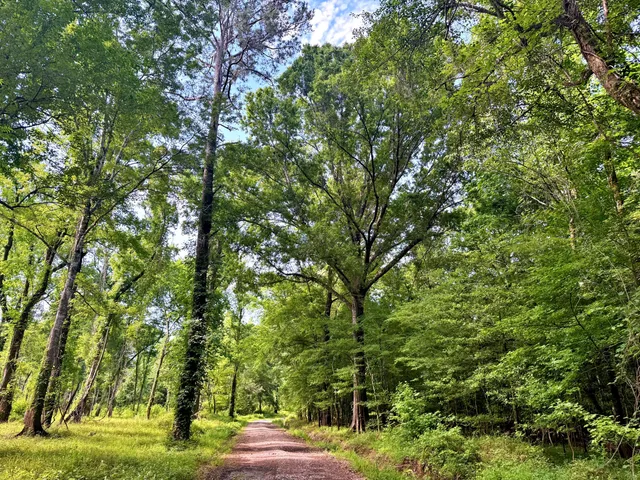 $395,000 | 1401 Lambert Loop, Georgetown, SC 29440