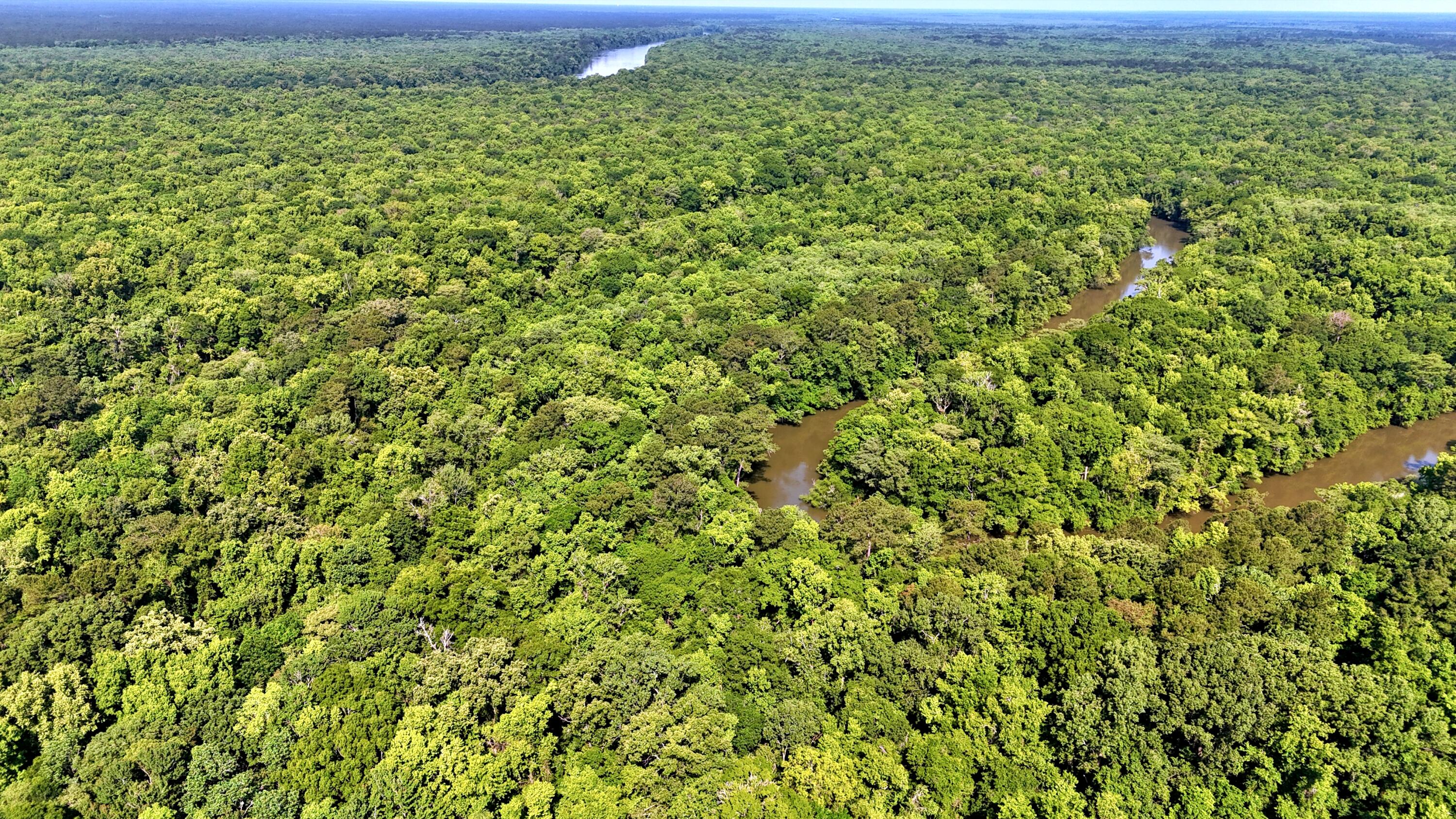 1401 Lambert Loop Georgetown, SC 29440 - Photo 11 of 19 batch_DJI_20250516100507_0168_D