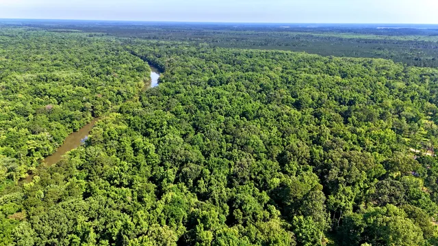 $395,000 | 1401 Lambert Loop, Georgetown, SC 29440