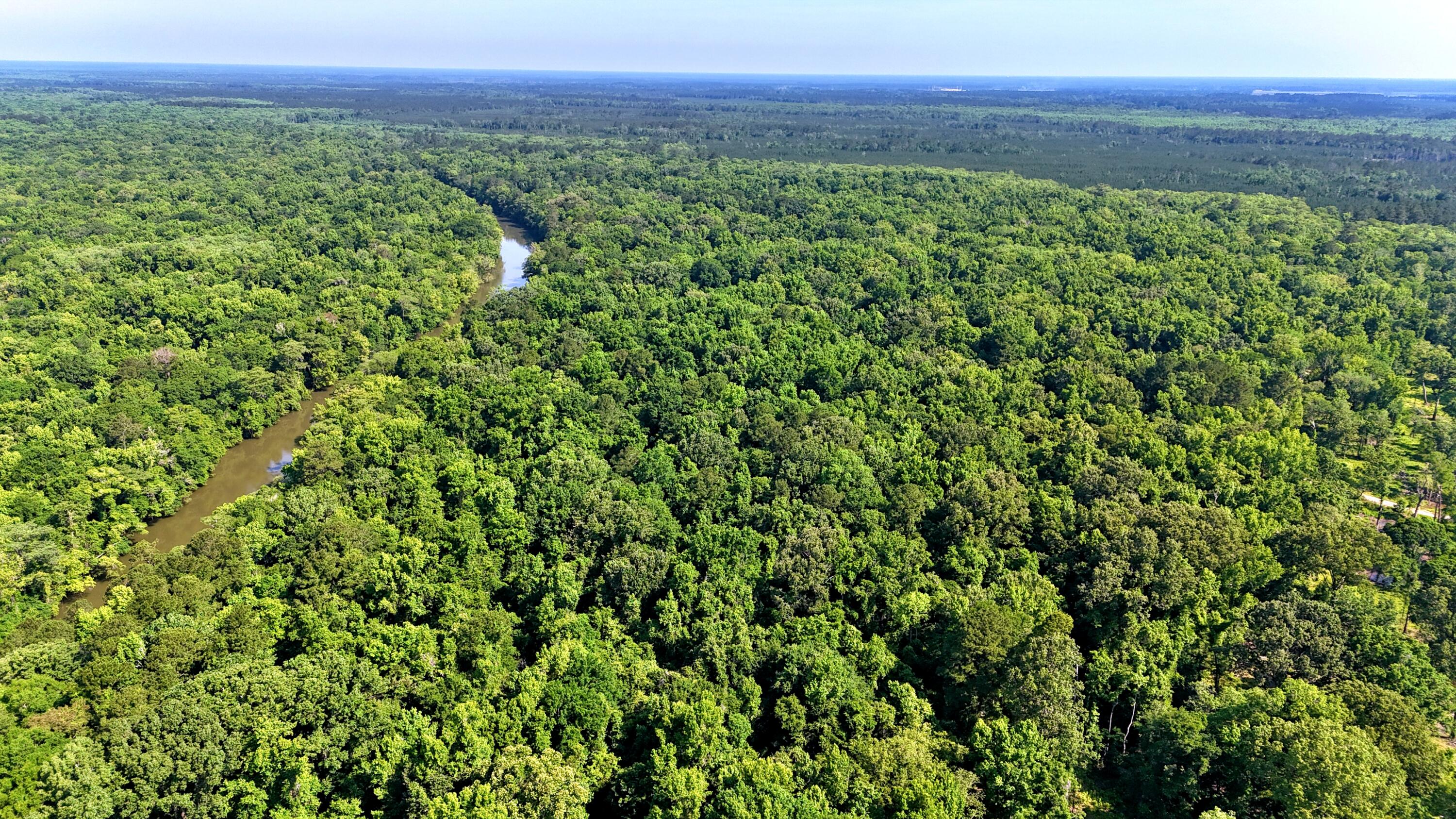 1401 Lambert Loop Georgetown, SC 29440 - Photo 12 of 19 batch_DJI_20250516100522_0169_D