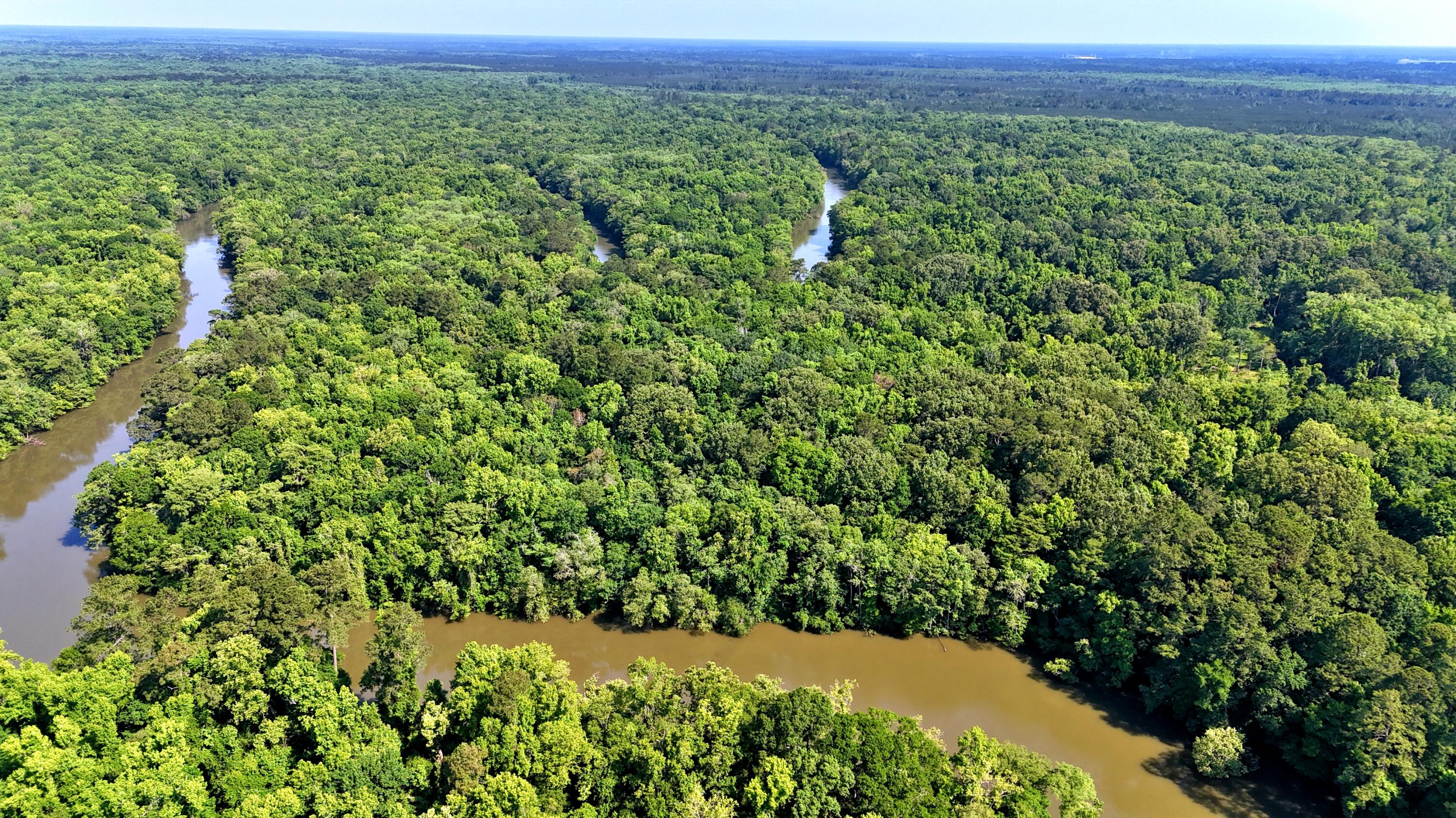 1401 Lambert Loop Georgetown, SC 29440 - Photo 13 of 19 batch_DJI_20250516101921_0170_D