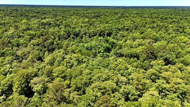 $395,000 | 1401 Lambert Loop, Georgetown, SC 29440