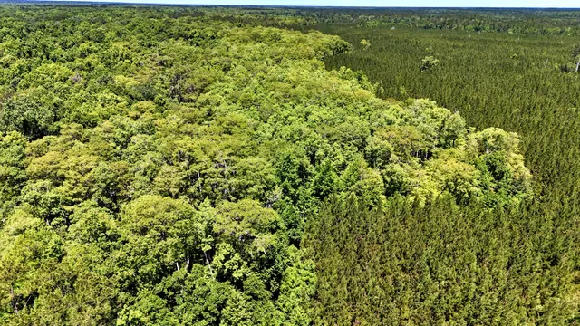 $395,000 | 1401 Lambert Loop, Georgetown, SC 29440