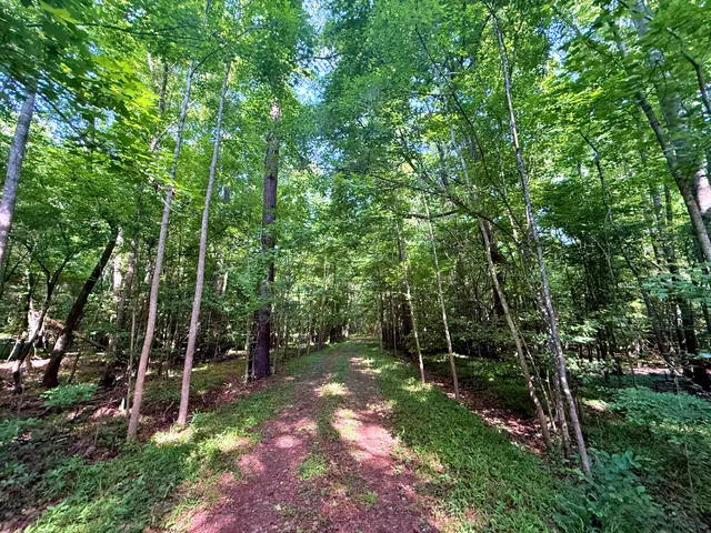 $395,000 | 1401 Lambert Loop, Georgetown, SC 29440