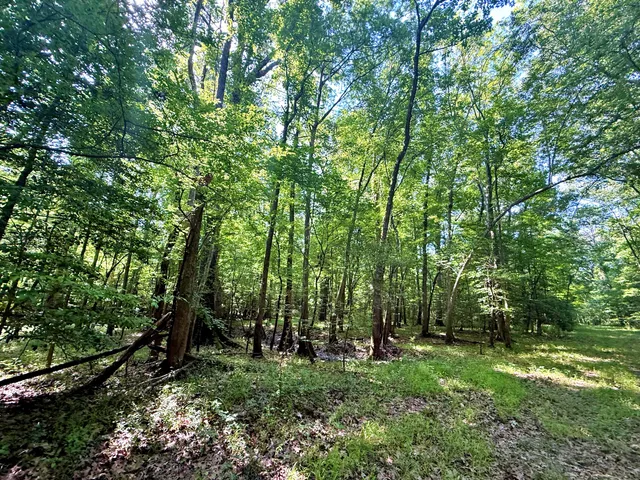 $395,000 | 1401 Lambert Loop, Georgetown, SC 29440