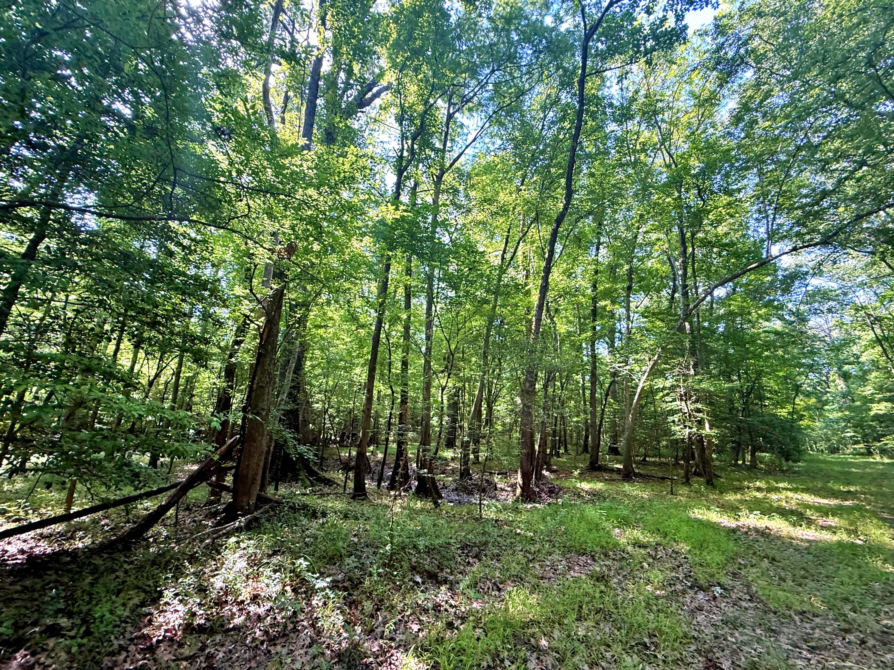 1401 Lambert Loop Georgetown, SC 29440 - Photo 18 of 19 batch_IMG_2220