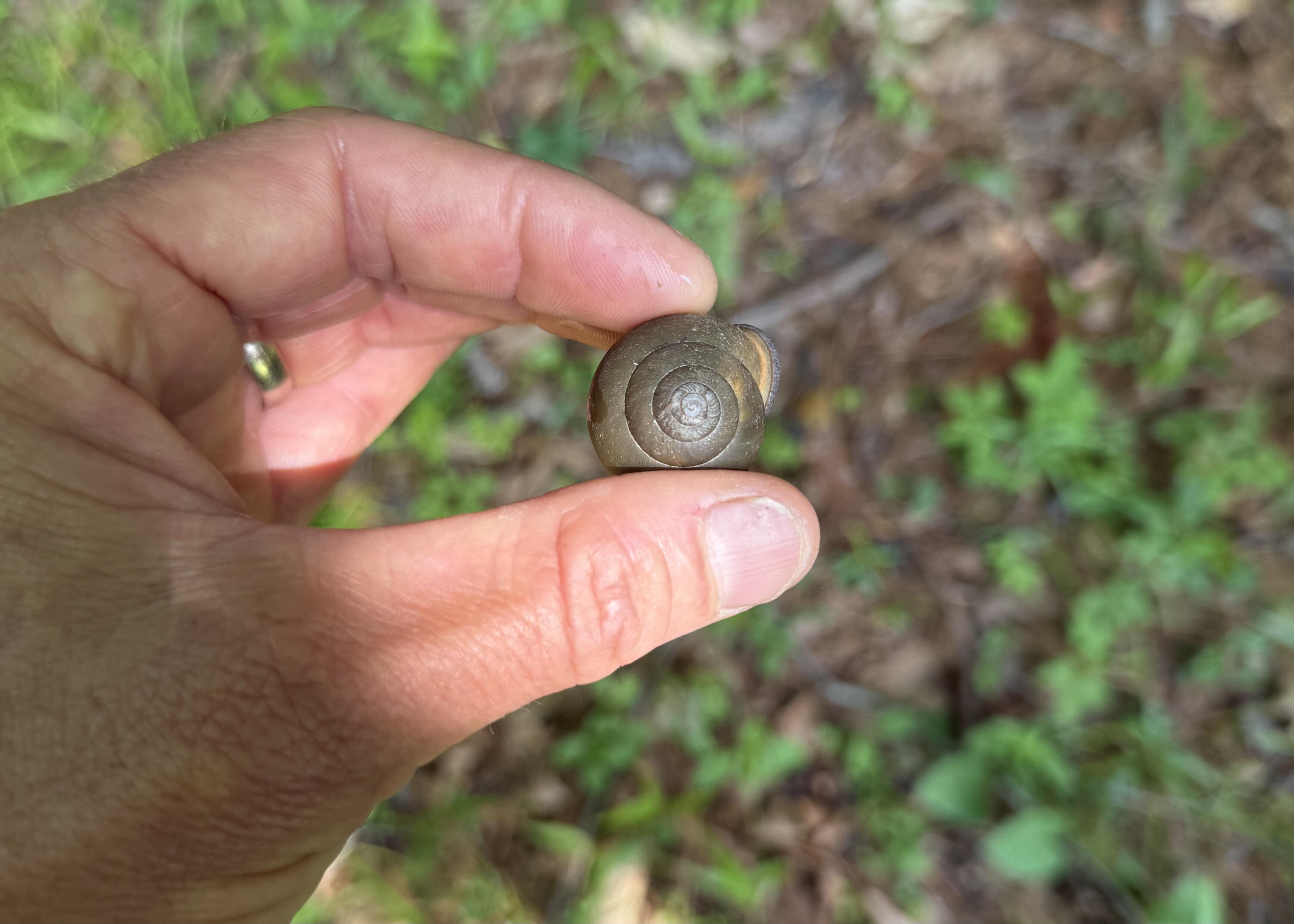 1401 Lambert Loop Georgetown, SC 29440 - Photo 19 of 19 IMG_2211