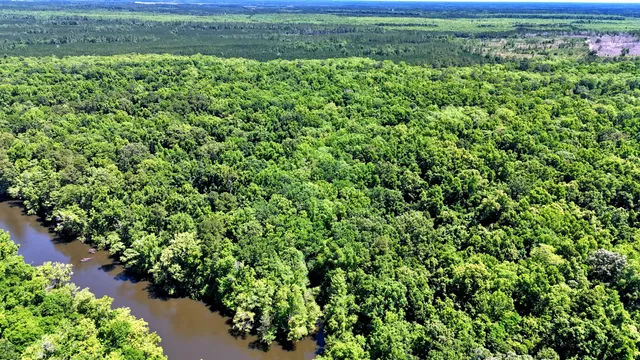 $395,000 | 1401 Lambert Loop, Georgetown, SC 29440