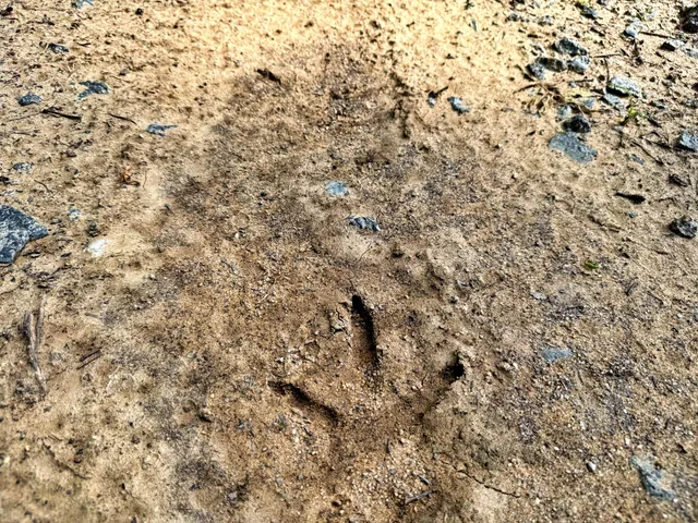 $395,000 | 1401 Lambert Loop, Georgetown, SC 29440