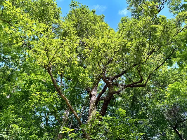 $395,000 | 1401 Lambert Loop, Georgetown, SC 29440