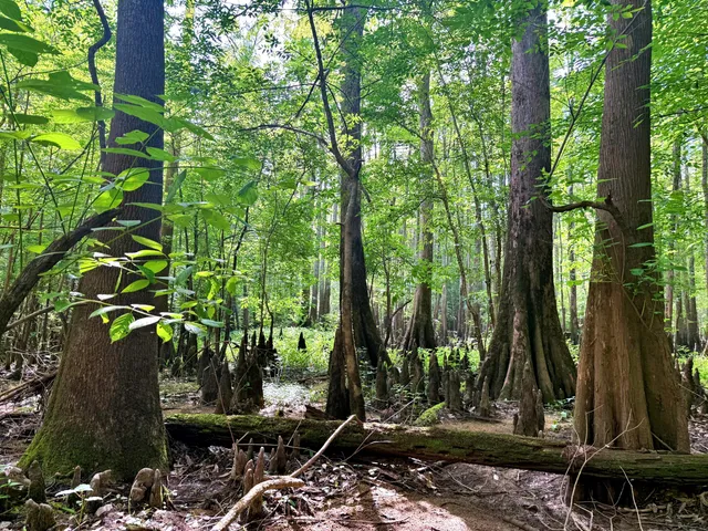 $395,000 | 1401 Lambert Loop, Georgetown, SC 29440