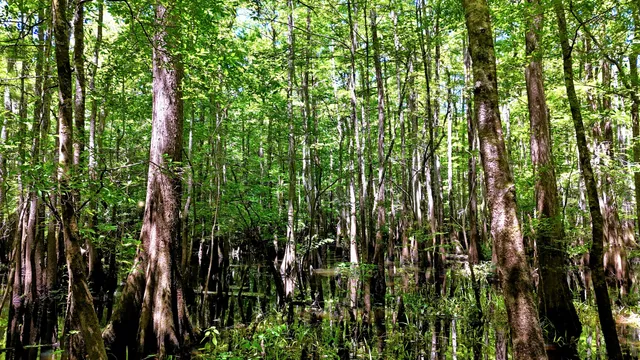 $395,000 | 1401 Lambert Loop, Georgetown, SC 29440