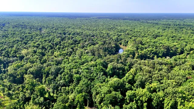 $395,000 | 1401 Lambert Loop, Georgetown, SC 29440