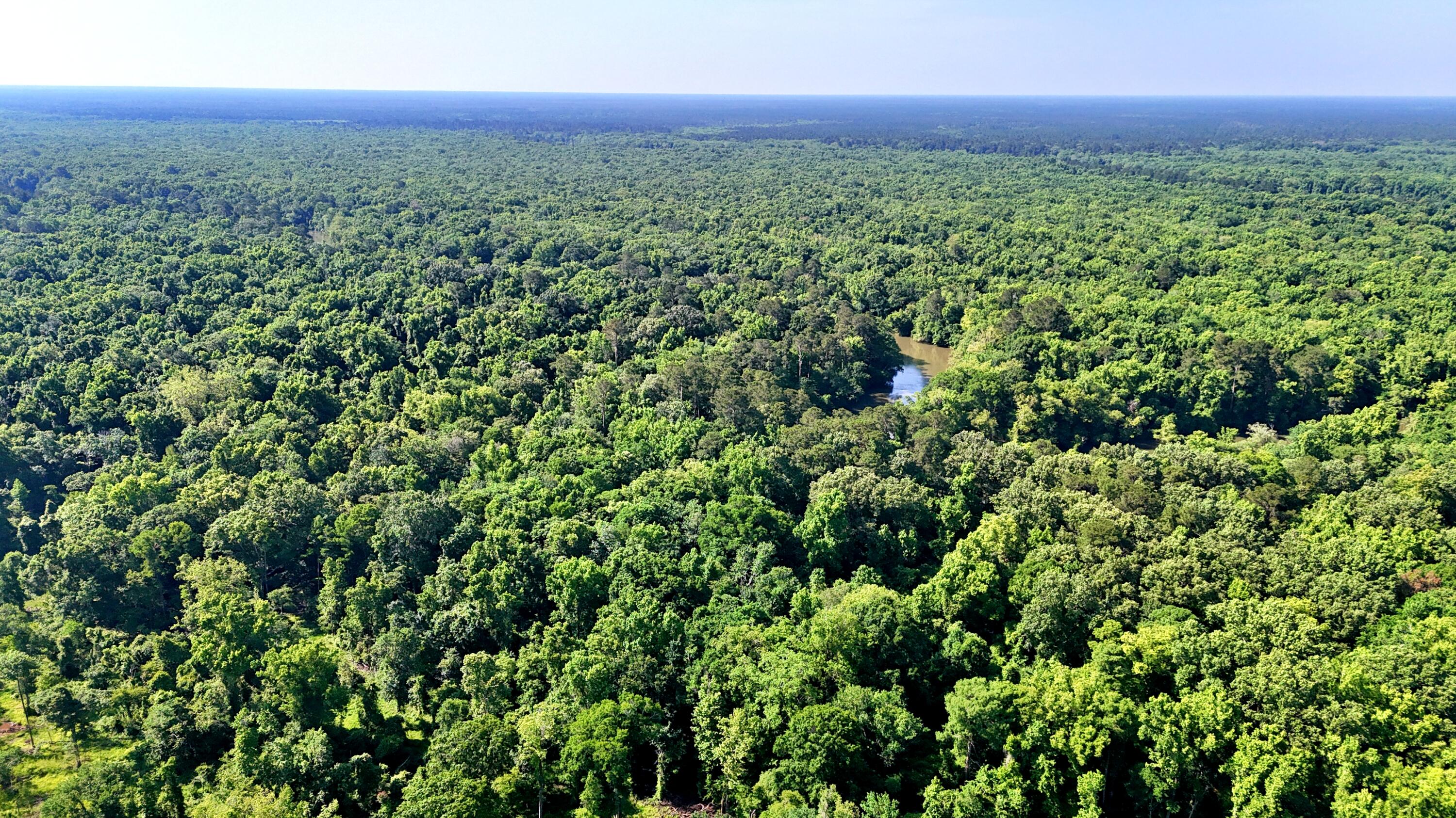 1401 Lambert Loop Georgetown, SC 29440 - Photo 8 of 19 batch_DJI_20250516100354_0164_D