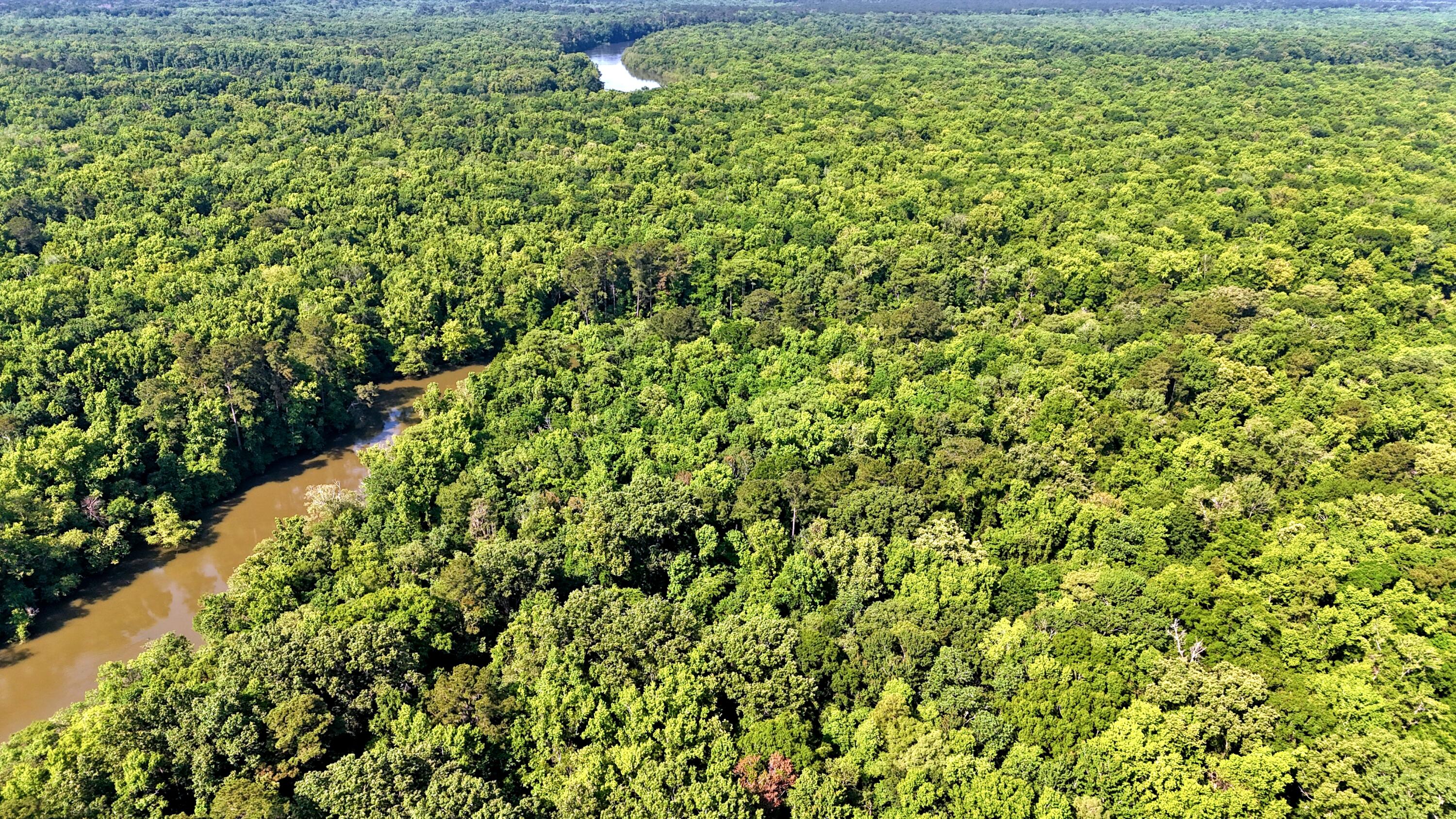 1401 Lambert Loop Georgetown, SC 29440 - Photo 10 of 19 batch_DJI_20250516100458_0167_D