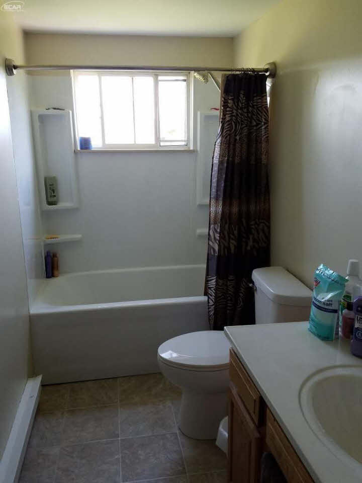 2658 Swaffer Road Millington, MI 48746 - Photo 7 of 16 21213231-6.JPG