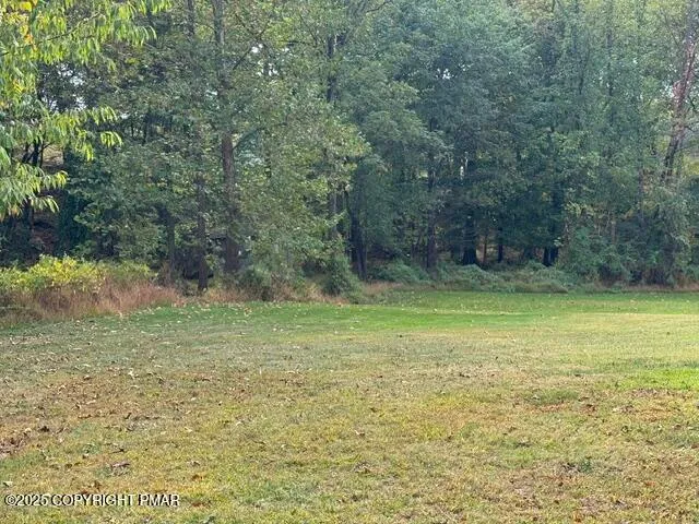 a view of a yard with a tree