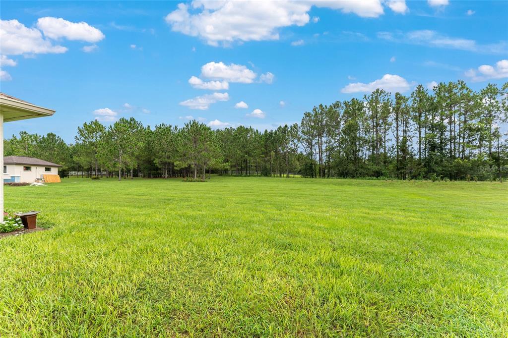 1724 East Gate Dancer Circle Inverness, FL 34453 - Photo 48 of 70