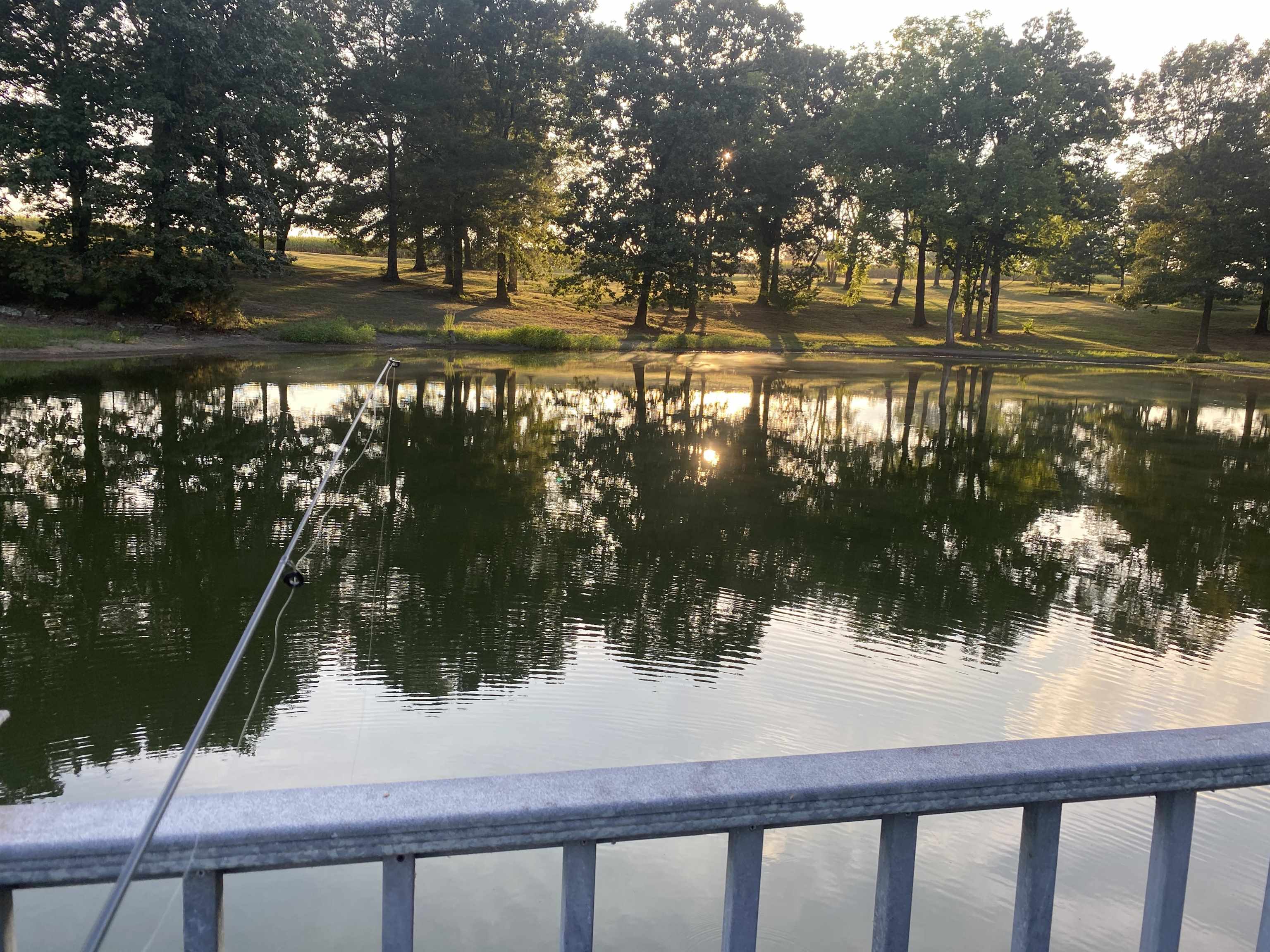 695 Middleburg Road Hickory Valley, TN 38042 - Photo 28 of 40