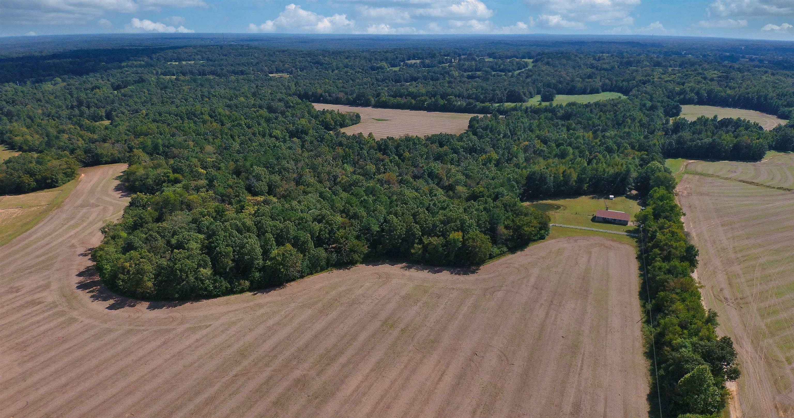 695 Middleburg Road Hickory Valley, TN 38042 - Photo 30 of 40 Crop Land, Fields, and Pasture Land.