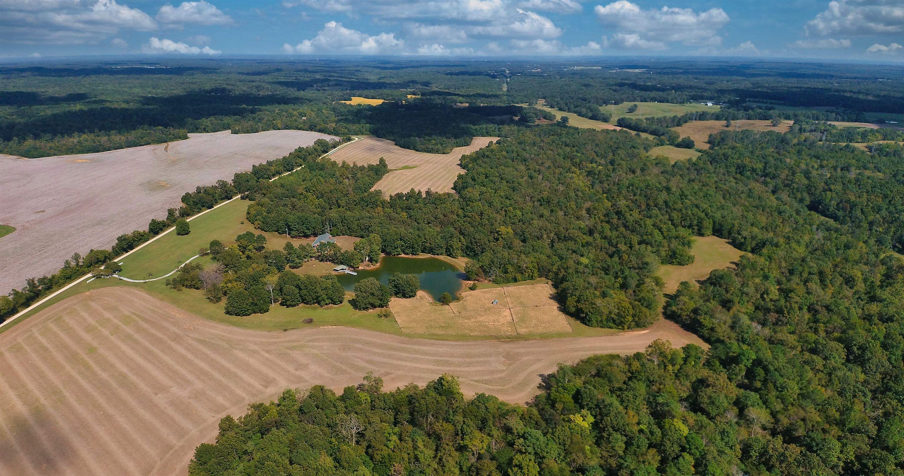 695 Middleburg Road Hickory Valley, TN 38042 - Photo 7 of 40 Wooded and Open Land