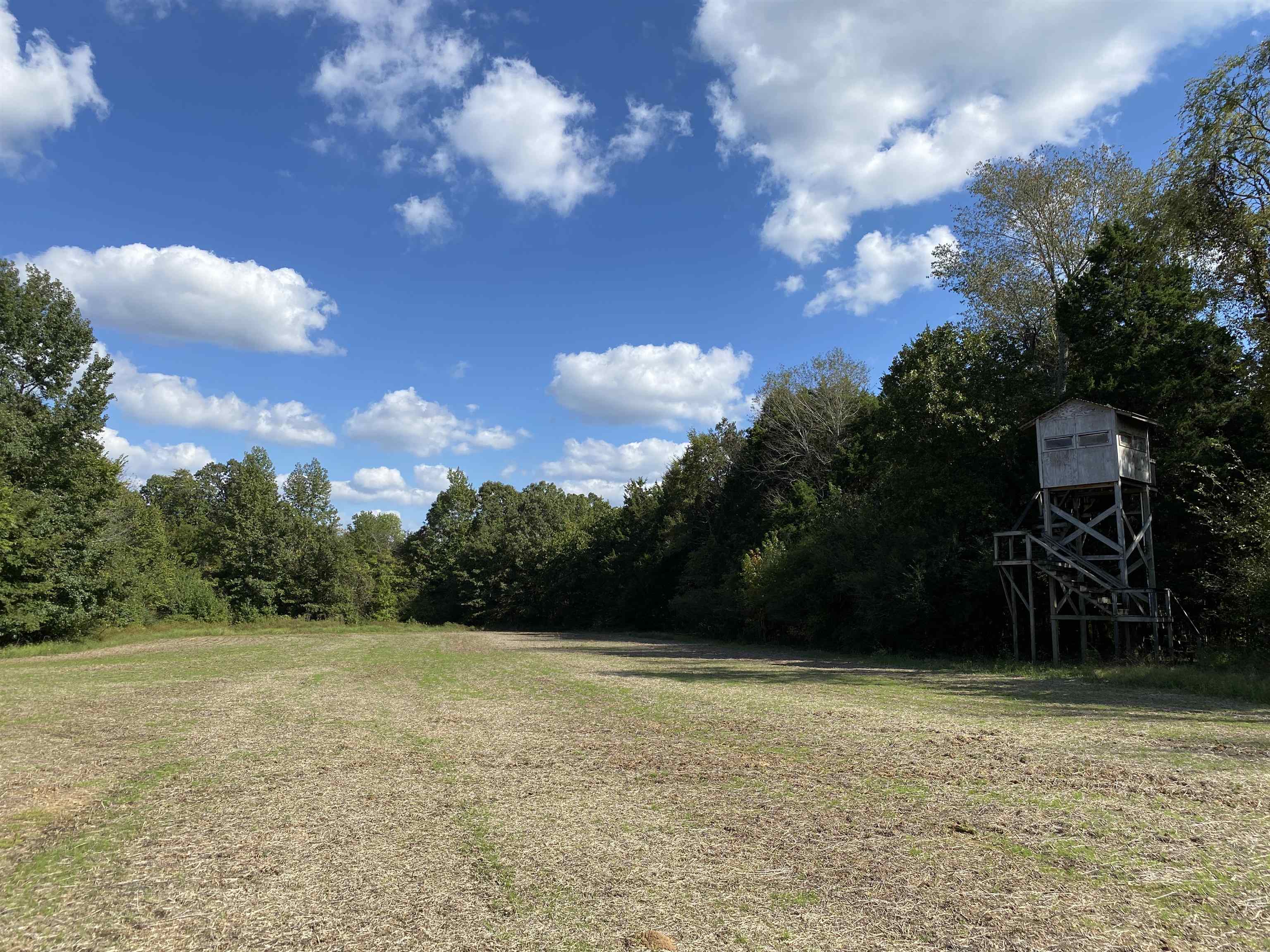 695 Middleburg Road Hickory Valley, TN 38042 - Photo 8 of 40