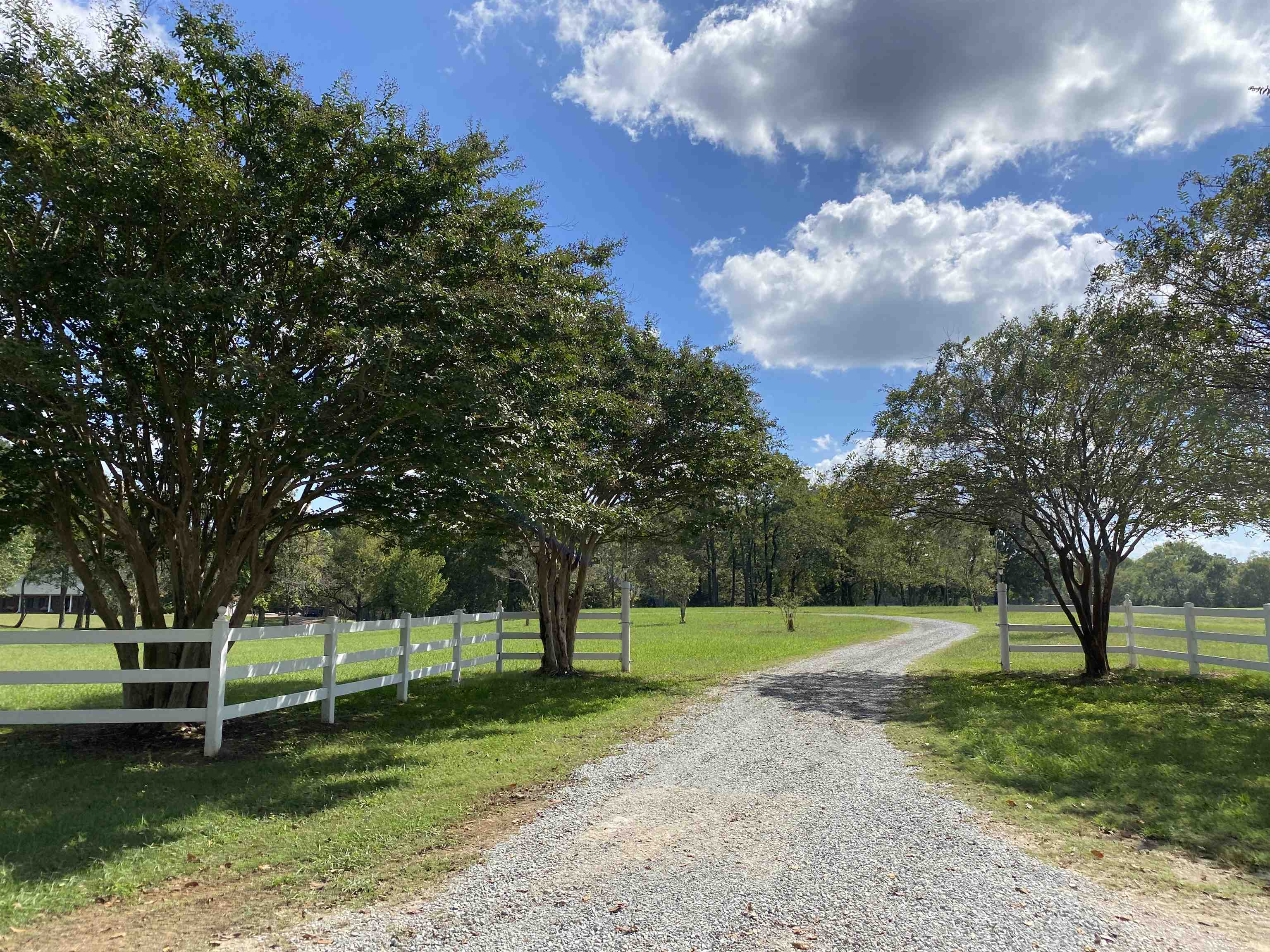 695 Middleburg Road Hickory Valley, TN 38042 - Photo 9 of 40 Long Driveway