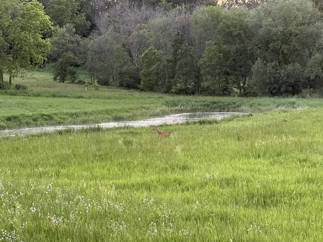 $325,000 | Xxxx 280th Street East, Webster, MN 55088