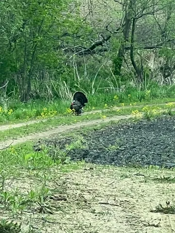 $325,000 | Xxxx 280th Street East, Webster, MN 55088