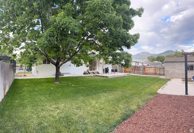 1791 West 170 South, Unit 8 Provo, UT 84601 - Photo 22 of 25 Expansive backyard featuring a large tree, a manicured lawn, and a concrete patio