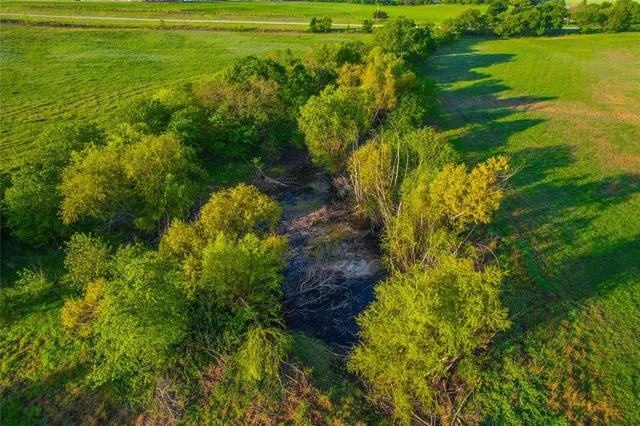a view of an ocean from a yard