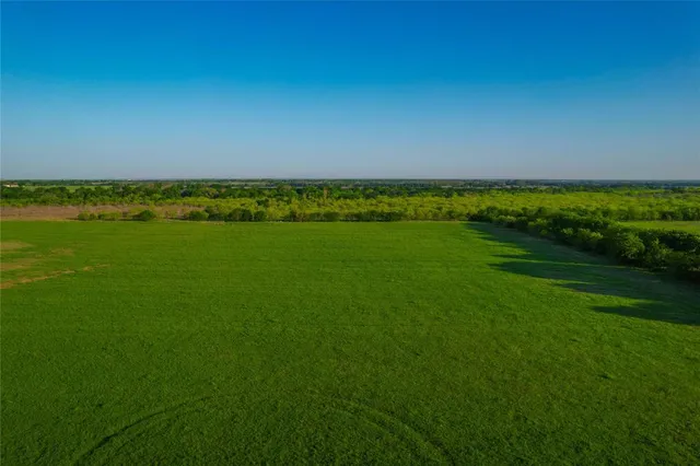 a view of a field with an ocean