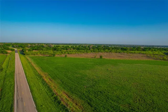 a view of a yard with plants and large trees